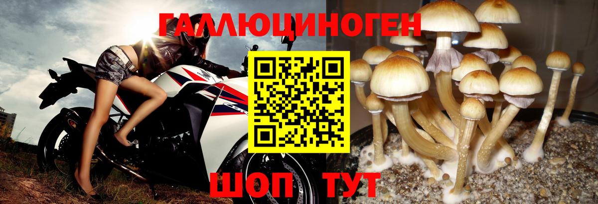 Псилоцибиновые грибы мухоморы  Вход с VPN  Урай 